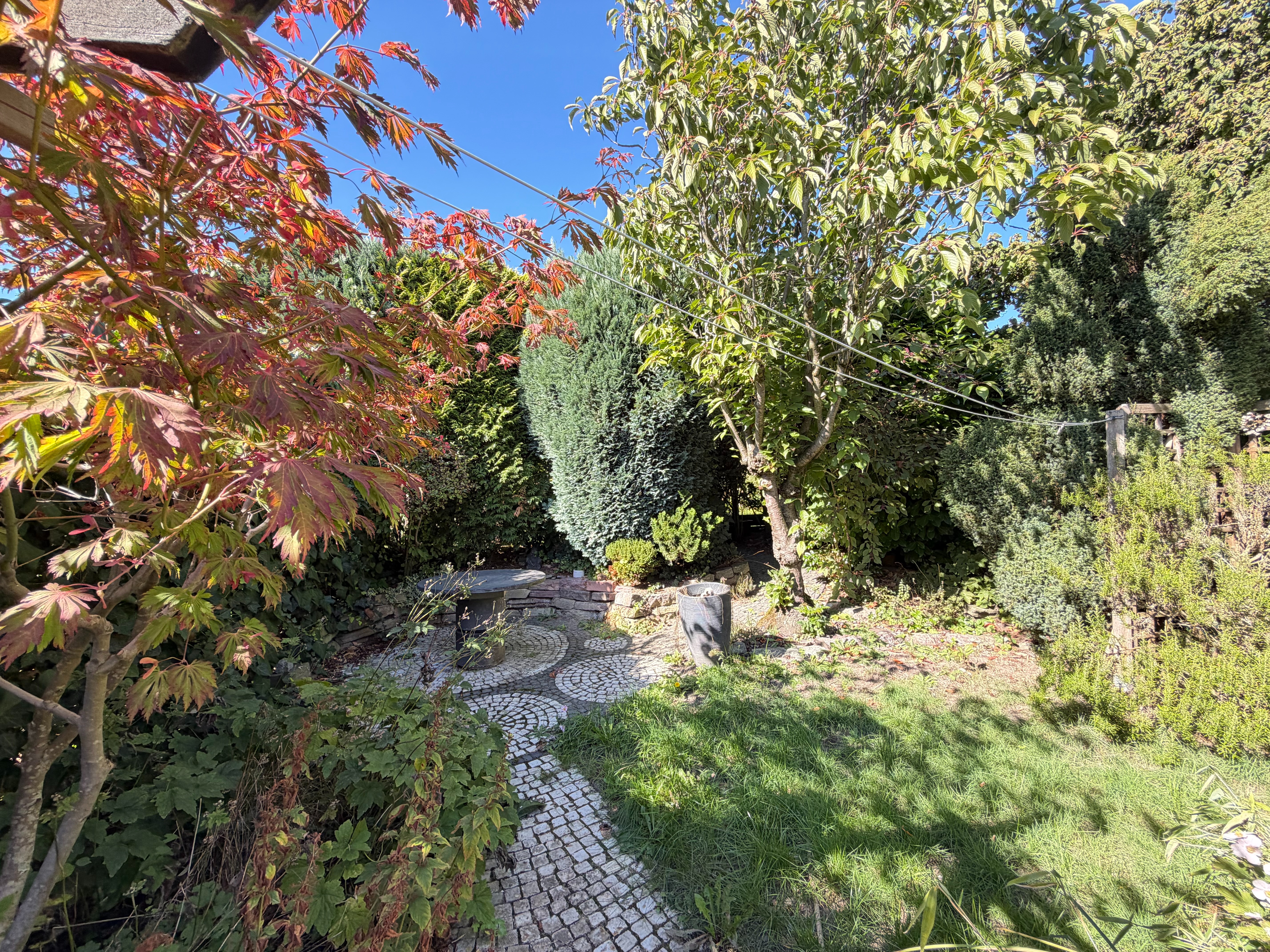Garten hinten